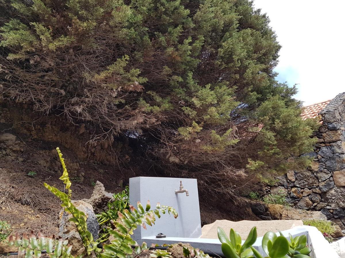 Finca La Sabina Guarazoca Dış mekan fotoğraf