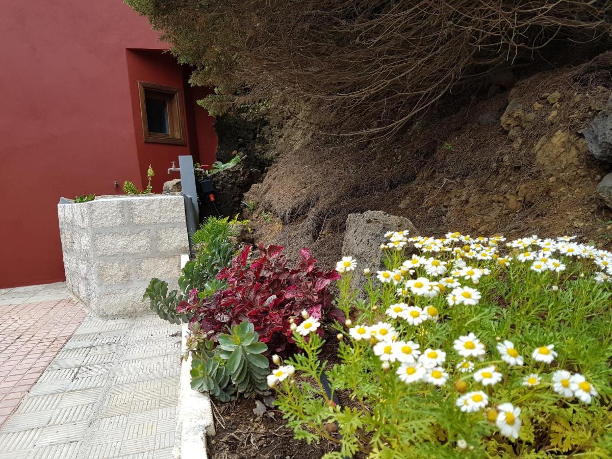 Finca La Sabina Guarazoca Dış mekan fotoğraf