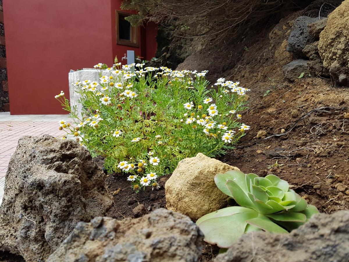 Finca La Sabina Guarazoca Dış mekan fotoğraf